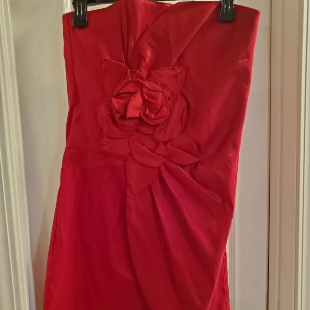 Alyn Paige 9/10, red, strapless, special occasion dress. Stunning floral design.